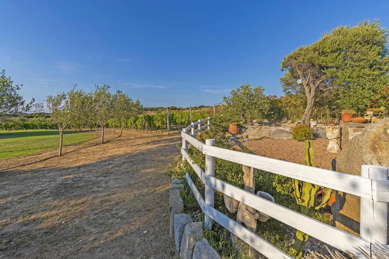 La Littighedda Villa Rena Majore Italy