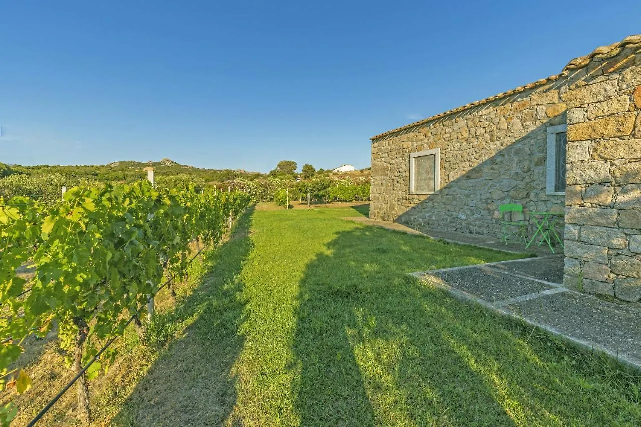 La Littighedda Villa Rena Majore Holiday home