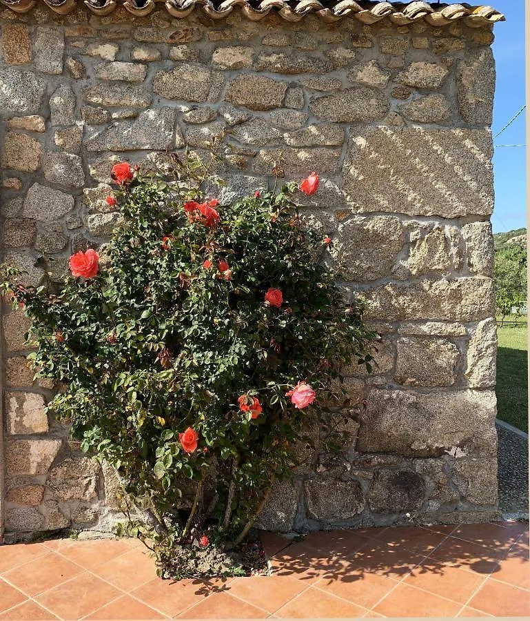 La Littighedda Villa Rena Majore
