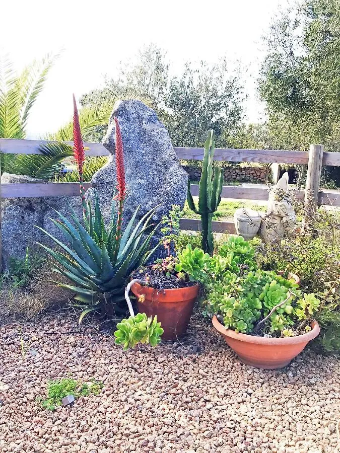 Holiday home La Littighedda Villa Rena Majore
